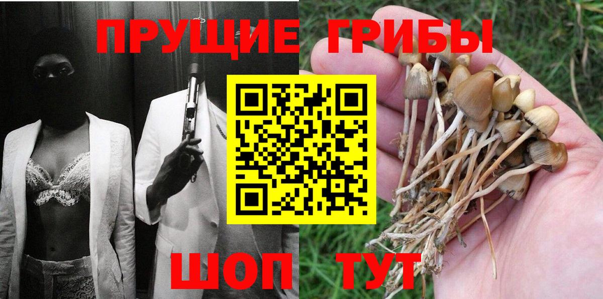 Галлюциногенные грибы GOLDEN TEACHER Пушкино